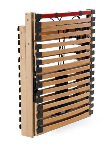 chamaleon-chiouso-2023