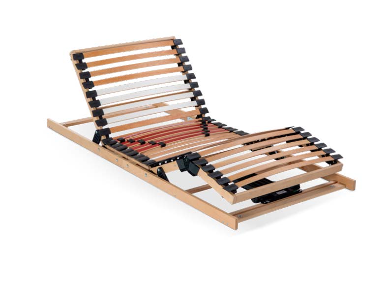 chamaleon-doghe-2023