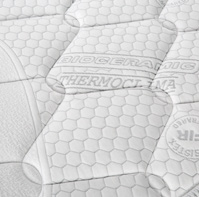 particolare-iris-2023