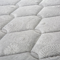 particolare-rose-2023