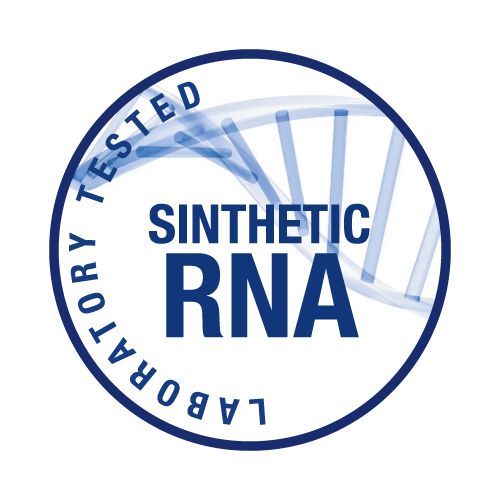 RNA sintetico